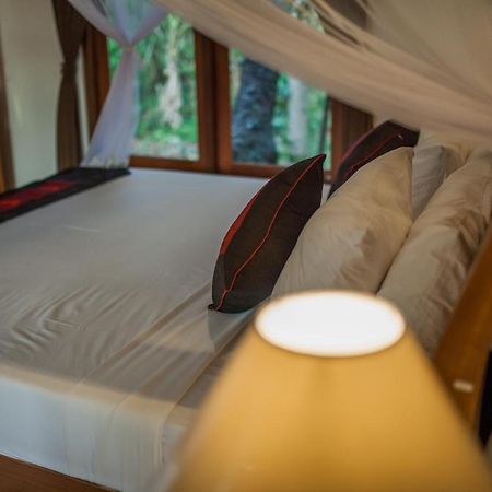 Abimana Ubud エクステリア 写真